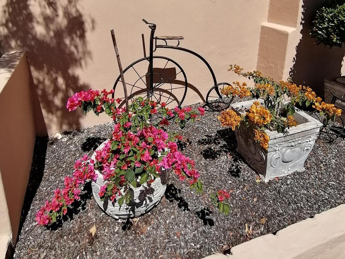 Squirrels Corner Bed & Breakfast Монтегю Екстериор снимка